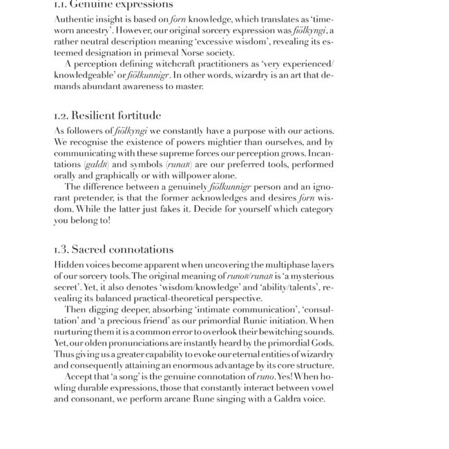 Norse Sorcery Compendium: Galdr & Runes - Image 2